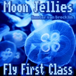 Moon Jellies Fly First Class album cover